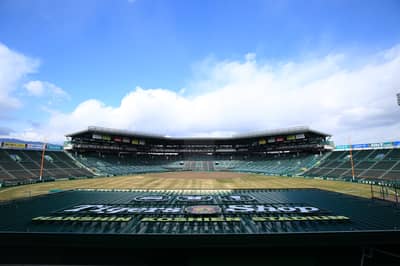 Hanshin 1-day Pass Rokko Mountain Set — 8