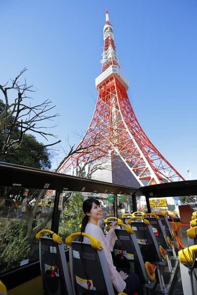 Tokyo Panoramic Drive: Rainbow Bridge y Ginza — 2
