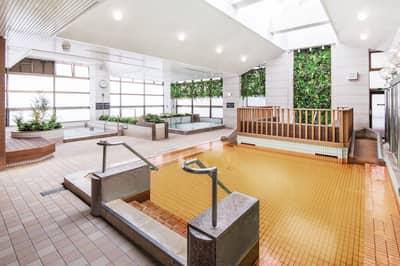 Vé vào cửa suối nước nóng Heiwajima và xe đưa đón Haneda — 4