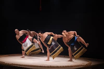 THE SUMO HALL HIRAKUZA OSAKA Sumo-Show Bento-Plan — 8