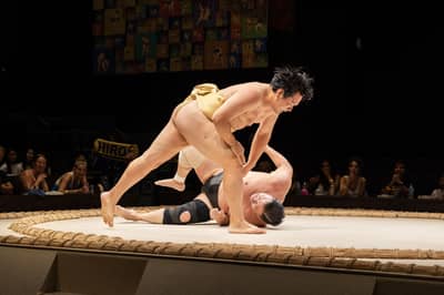 THE SUMO HALL HIRAKUZA OSAKA Sumo-Show Bento-Plan