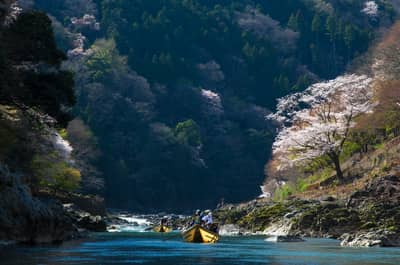 Paseo privado en barco por el río Hozugawa — 2