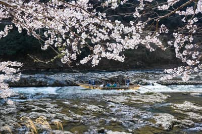 Private Hozugawa River Boat Ride