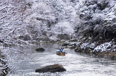 Paseo privado en barco por el río Hozugawa