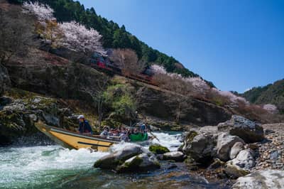 Paseo privado en barco por el río Hozugawa — 5