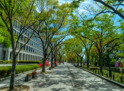 KYOTO-OSAKA SIGHTSEEING PASS 1day