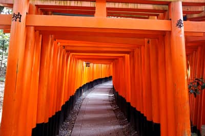 京都觀光“OKOSHI”巴士（BF）京都 必遊之選・天龍寺+嵐山金閣寺+伏見稻荷大社★含中・英・韓語音導覽★ — 5