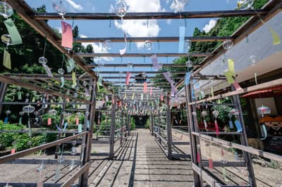 Okoshi Bus (ทัวร์รถบัสพรีเมียม) (TL) พร้อมไกด์บนรถบัสภาษาจีนและภาษาอังกฤษ การเดินทางสไตล์ Immersive สัมผัสสายลมและแสงไฟหลบคลายร้อน ~เทศกาลกระดิ่งลมแห่ง Oku-Kyoto และศิลปะแห่งแสงของ teamLab~ — 7