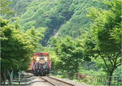 京都觀光“OKOSHI”巴士（SW）嵐山深度遊・嵯峨野觀光小火車+保津川遊船之旅★含中・英・韓語音導覽★