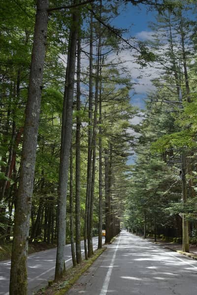 Karuizawa – Kusatsu Onsen — 4