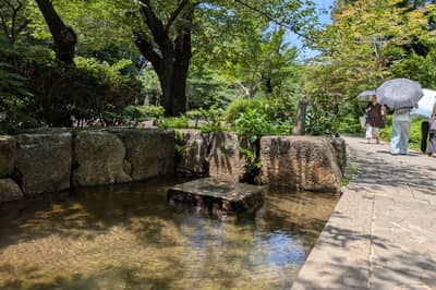 NINJA GO TOURS・Tokyo — 11