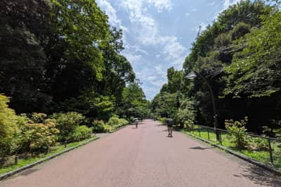 NINJA GO TOURS・Tokyo — 10