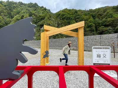 Billet à tarif réduit du chemin de fer des gorges de Kurobe — 7