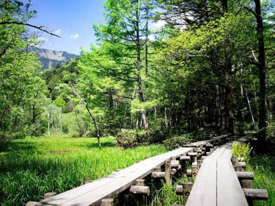 From Shinjuku Day Bus Tour To Kamikochi One — 3
