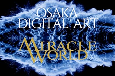 Osaka Miracle World Electronic Ticket