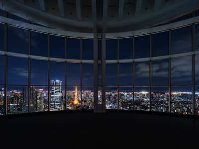 Tokyo City View (Indoor-Aussichtsplattform) Eintrittskarte — 3