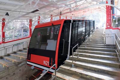 Visit Koya Ticket — vé đi lại núi Koya (áp dụng từ 1/8/2026)