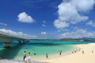 Bus touristique régulier d'Okinawa : Circuit île de Kouri, ruines du château de Nakijin, Churaumi (départ de Naha) — 3