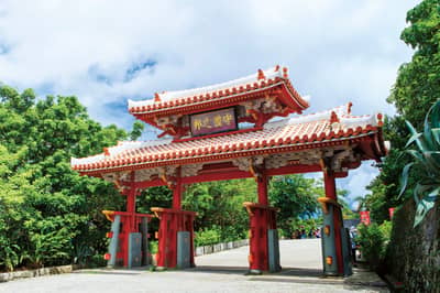 Bus touristique régulier d'Okinawa : Parcours Château de Shuri / Okinawa World (Départ de Naha) — 4