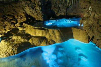 Bus touristique régulier d'Okinawa : Parcours Château de Shuri / Okinawa World (Départ de Naha) — 2