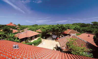 Bus touristique régulier d'Okinawa : Parcours Château de Shuri / Okinawa World (Départ de Naha) — 6