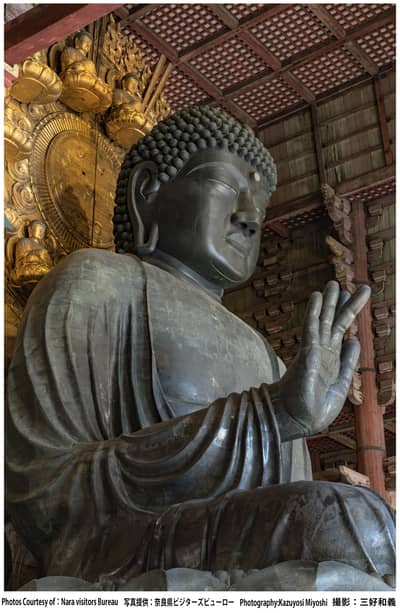 Visite en bus du parc de Nara (guide anglophone) — 11
