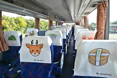Visite en bus du parc de Nara (guide anglophone) — 4