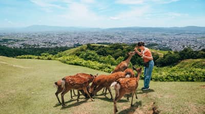 Nara English-Guided Sightseeing Bus “Perfect Nara Park Tour”