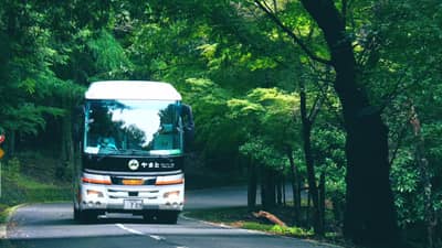 Visite en bus du parc de Nara (guide anglophone) — 3