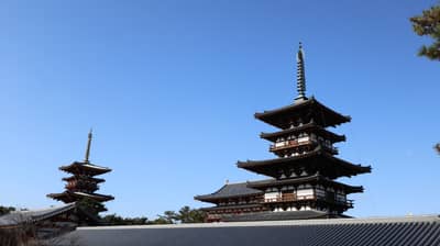 奈良世界遺產寺廟之旅（含釜飯午餐及抹茶） — 4