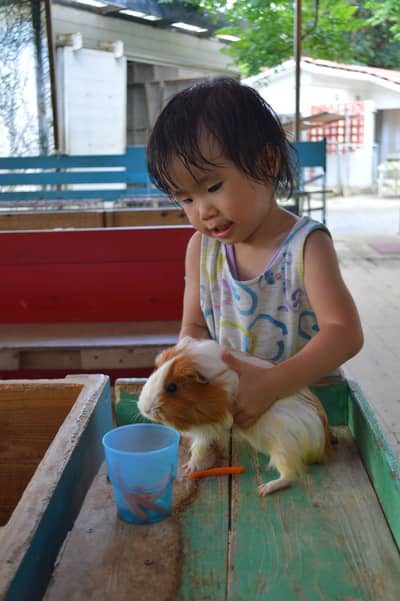 Vé điện tử Neo Park Okinawa ở Nago, ưu đãi đến JPY100 — 4