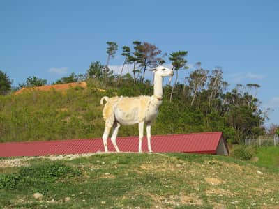 Vé điện tử Neo Park Okinawa ở Nago, ưu đãi đến JPY100 — 7
