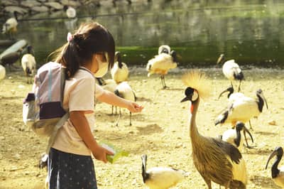 Vé điện tử Neo Park Okinawa ở Nago, ưu đãi đến JPY100