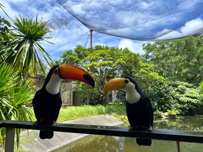 Okinawa Nago NEO PARK Electronic Admission Ticket