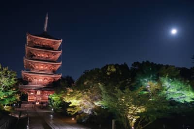 KANGETSU-SAI – Soirée au clair de lune à Ninna-ji — 3
