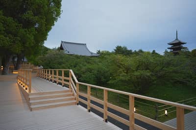 Ninna-ji Autumn Leaves & Sea of Clouds Light-Up: Premium Evening Plan (5 Days Only) — 5