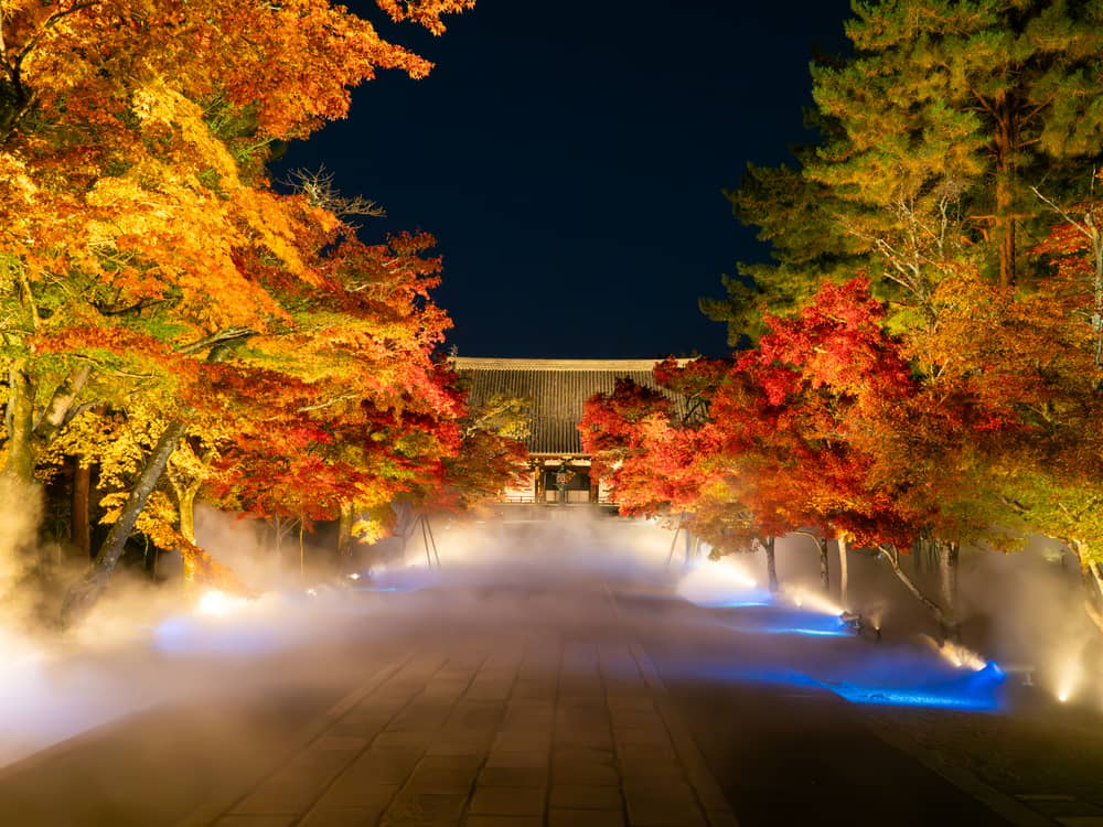 Ninna-ji Autumn Leaves & Sea of Clouds Light-Up: Premium Evening Plan (5 Days Only)