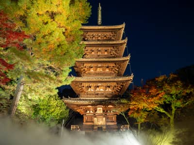 Ninna-ji Autumn Leaves & Sea of Clouds Light-Up Admission Ticket — 3