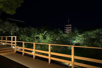 Ninna-ji Autumn Leaves & Sea of Clouds Light-Up: Premium Evening Plan (5 Days Only) — 4