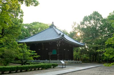 Ninna-ji Autumn Leaves & Sea of Clouds Light-Up: Premium Evening Plan (5 Days Only) — 3
