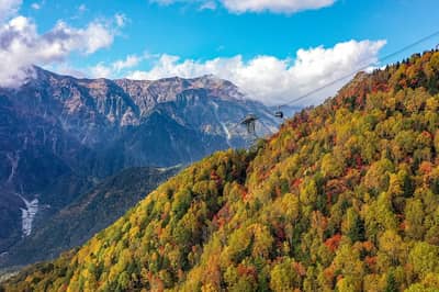 Takayama(高山)&Shinhotaka(新穂高) 2-Day Free Pass