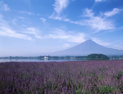★Exchange for a ticket is required★Fuji Hakone Pass Voucher (Valid for 3 days)