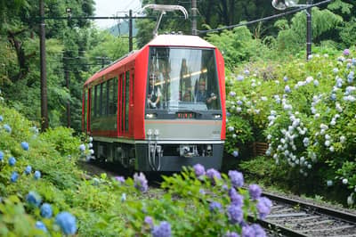 Hakone Freepass (Physical Ticket)