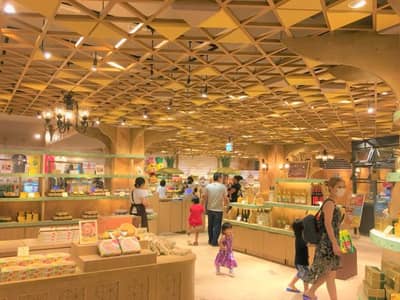 定期觀光巴士B路線 海洋博紀念公園（美之海水族館）及今歸仁城址（自選） — 8