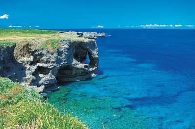 Regular Sightseeing Bus Route B: Ocean Expo Park (Churaumi Aquarium) and Nakijin Castle Ruins (Optional)