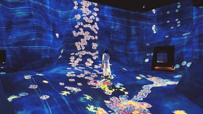 teamLab Planets TOKYO DMM Admission Ticket — 9