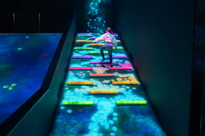 teamLab Planets TOKYO DMM Admission Ticket — 7