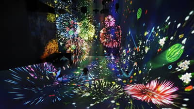 teamLab Planets TOKYO DMM Admission Ticket — 11