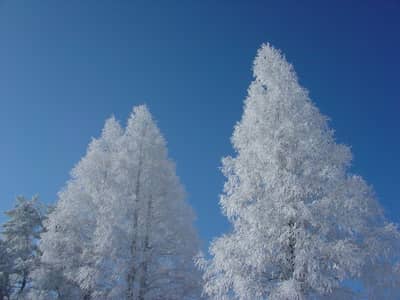 Billet d'entrée au parc à neige de Rokko 2026 — 7