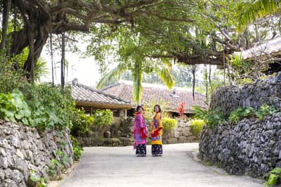 ¡Hasta un 25% de descuento! Entrada a Ryukyu Mura — 10